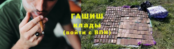 прущие грибы Надым