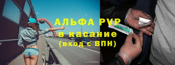 прущие грибы Надым