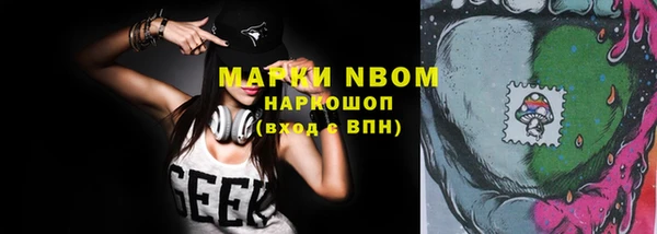 прущие грибы Надым