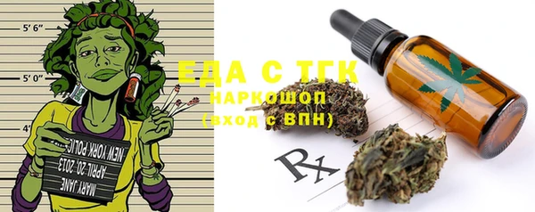 прущие грибы Надым