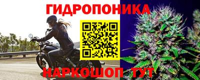 таблы Донецк