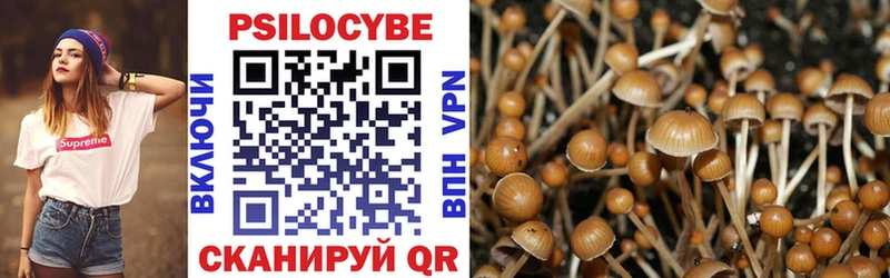 купить наркотики сайты  Челябинск  Галлюциногенные грибы ЛСД 
