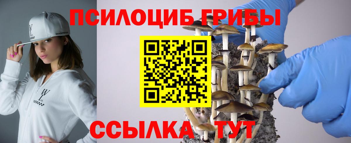 Псилоцибиновые грибы Psilocybine cubensis  Вход с VPN  Челябинск  купить закладку  Псилоцибиновые грибы MAGIC MUSHROOMS 