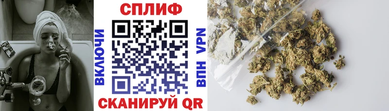 Бошки марихуана MAZAR  где найти наркотики  Челябинск 